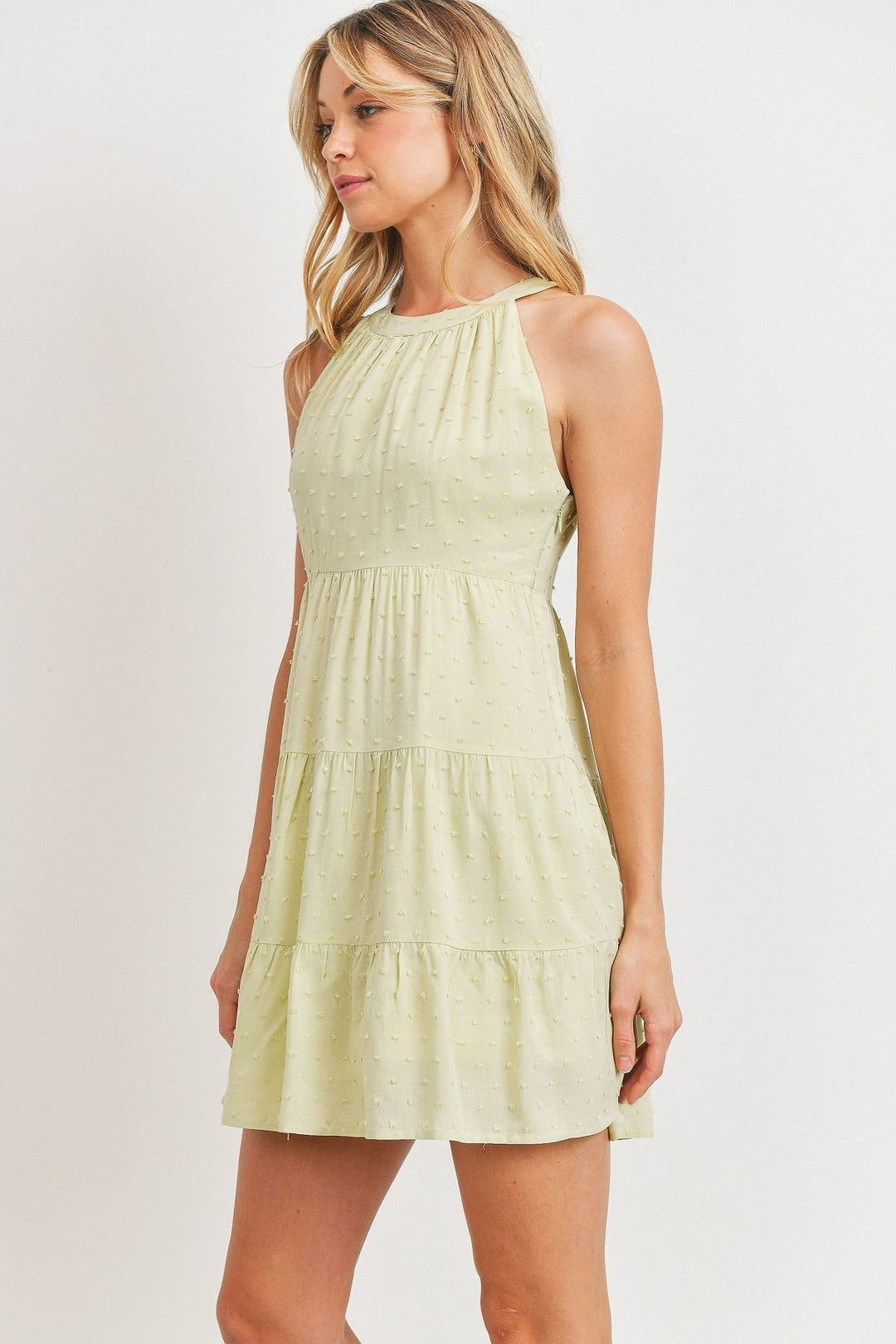 Roundneck Sleeveless Dotted Swiss Dress in Sage
